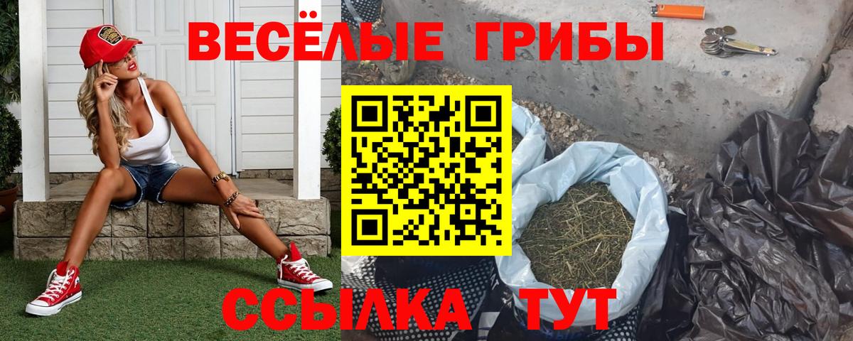 Галлюциногенные грибы MAGIC MUSHROOMS  Галлюциногенные грибы Psilocybine cubensis  наркотики  Владивосток  Вход с VPN 